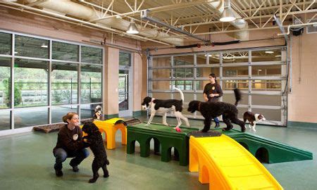 Best Doggy Day Care Centers & Sitters in Annapolis, MD